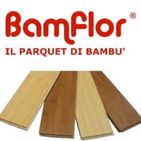 Logo Bamfloor snc