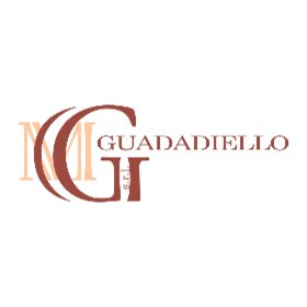 Logo guadadiello s.r.l.