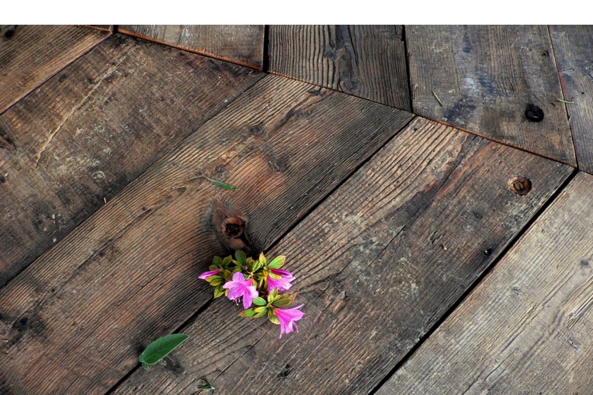 antico abete — Legno Antico