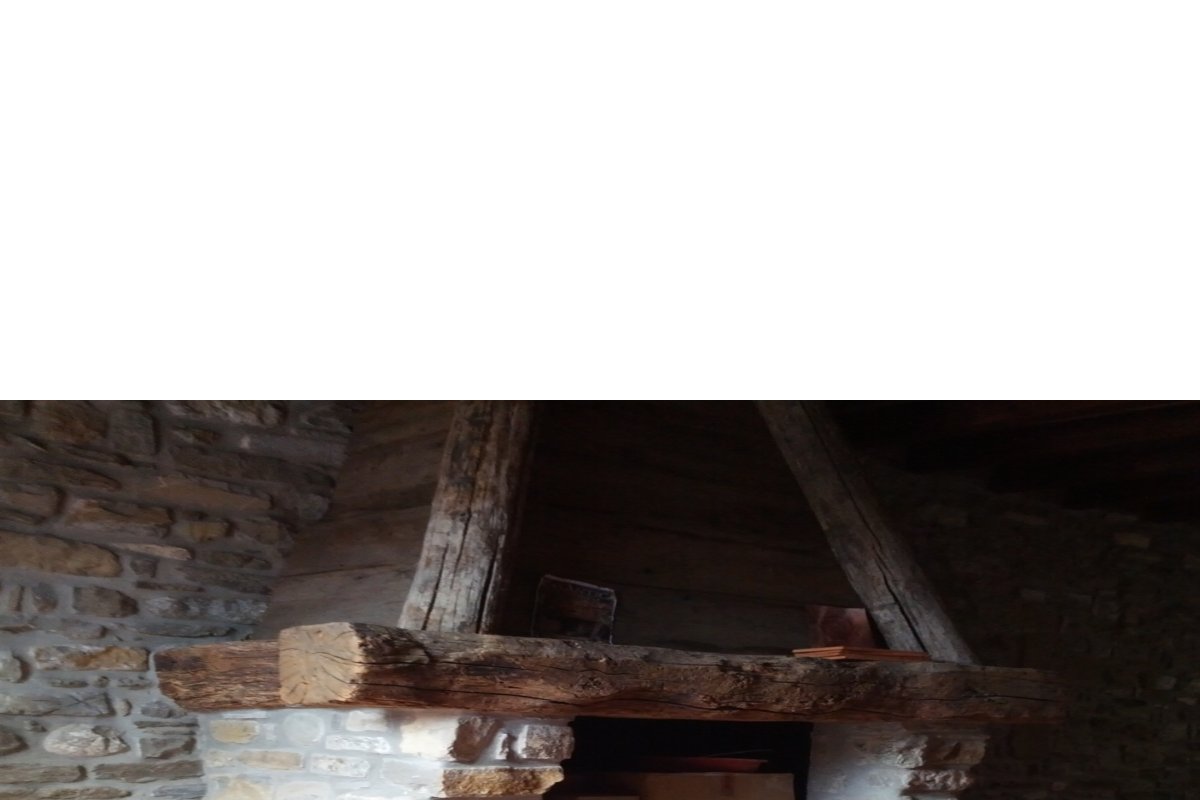 Ollari Trattamenti — Ollari Trattamenti