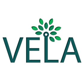 Logo Vela S.r.l.