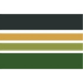 Logo Omnia  2000 snc