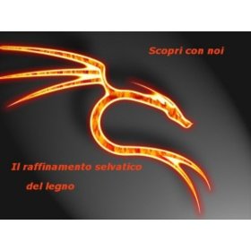 Logo Biocasa
