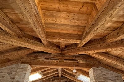 Travi Antiche per uso strutturale