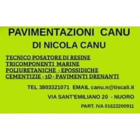 Logo Nicola Canu