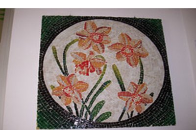narcisi