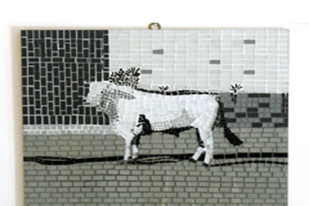 toro maremmano — Mirko Federici